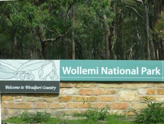 Wollomi National Park.jpg